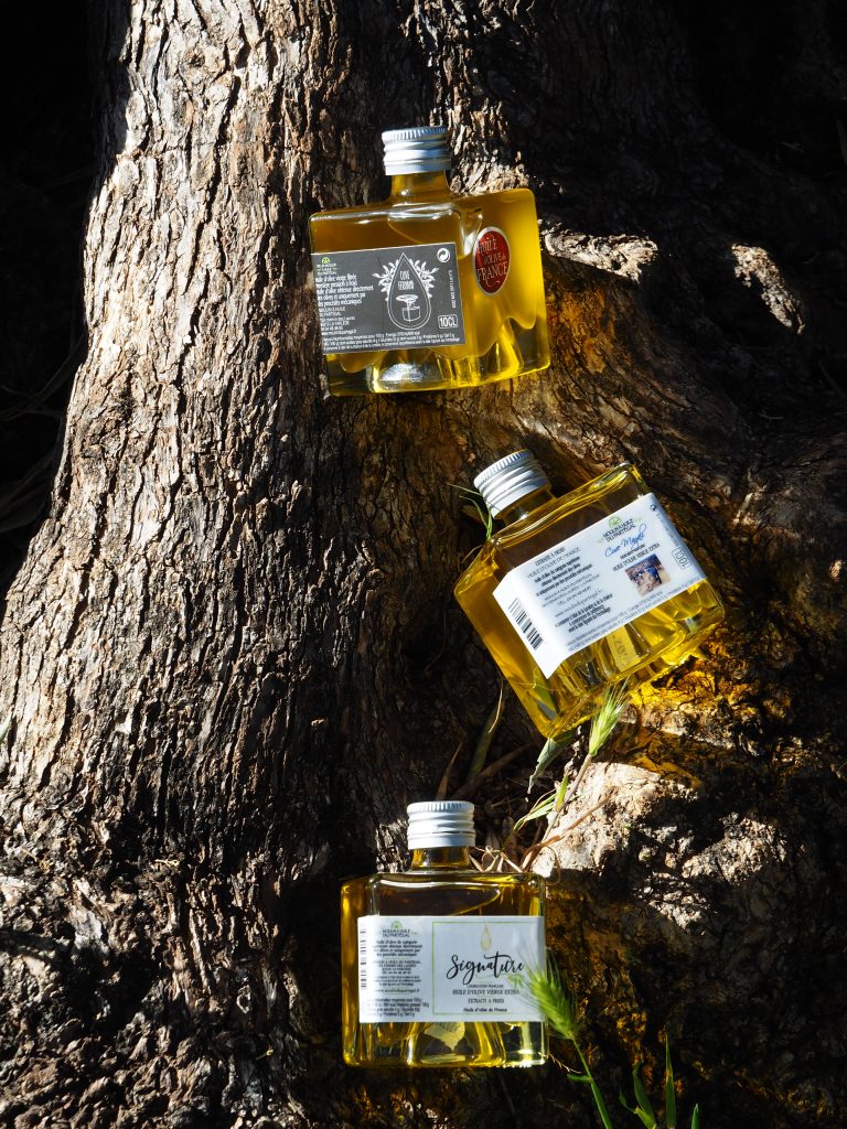 Le Moulin du Partégal de Guillaume et Magali Kauffmann, Maison Bois de Rose