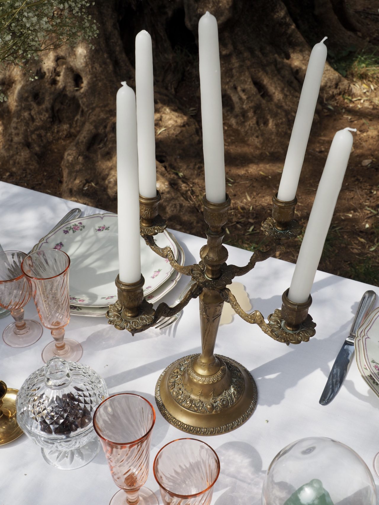 MaisonBoisDeRose fete de famill36