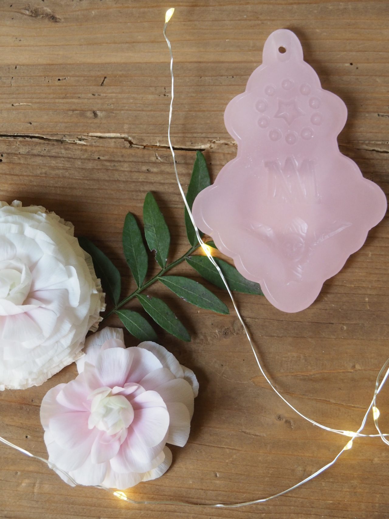 MaisonBoisDeRose fete de famille136