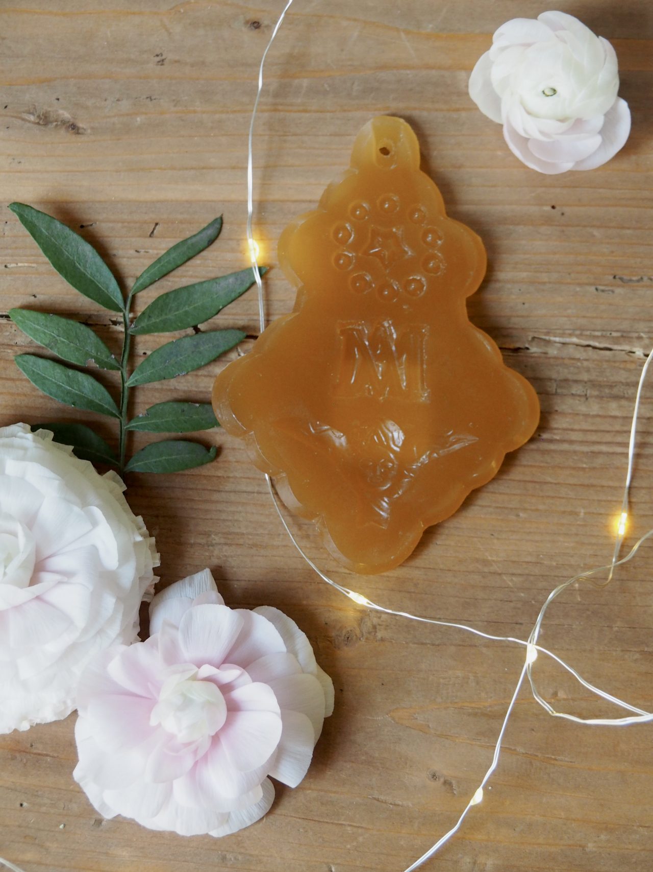 MaisonBoisDeRose fete de famille141