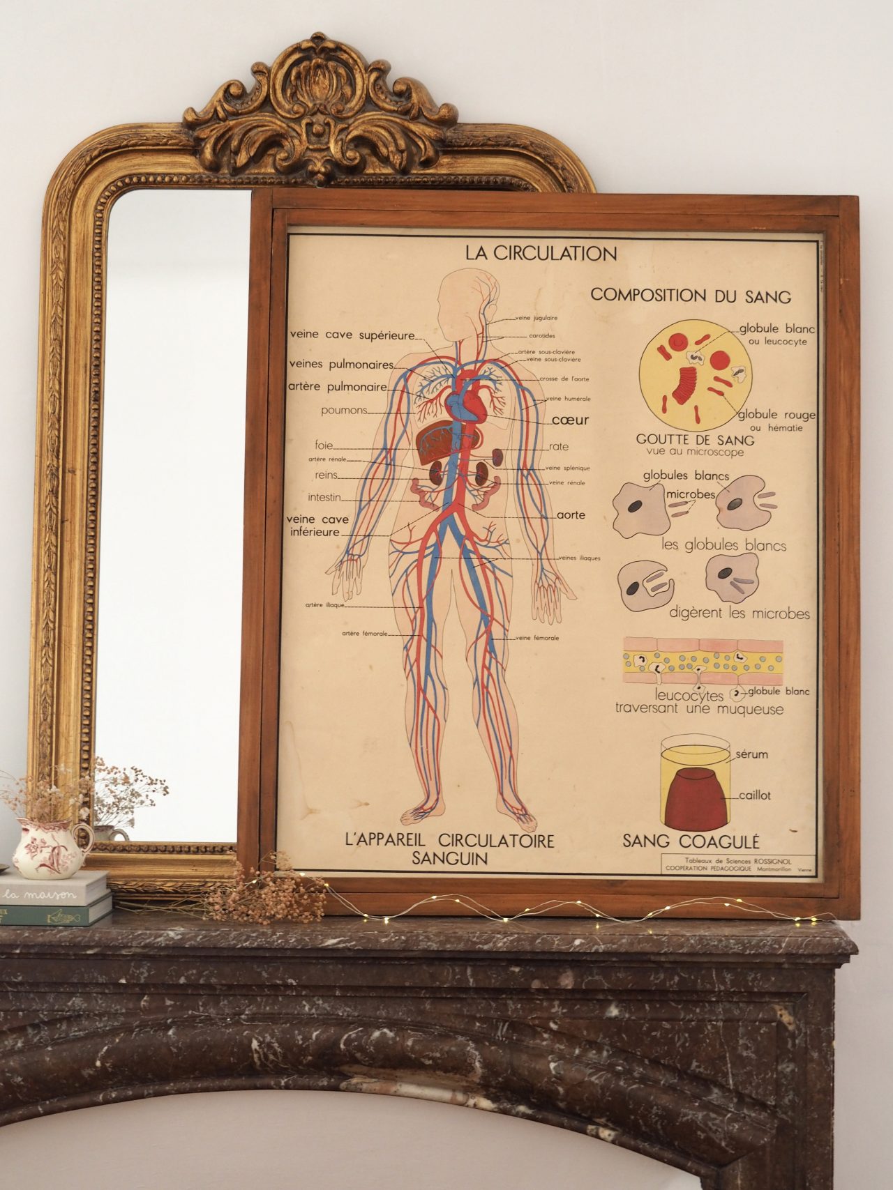 Affiche Rossignol Sciences n°5 et n°6