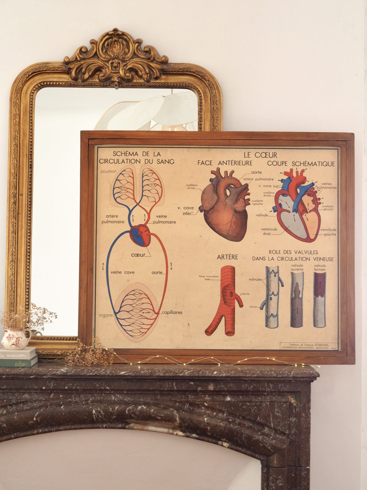 Affiche rossignol le coeur