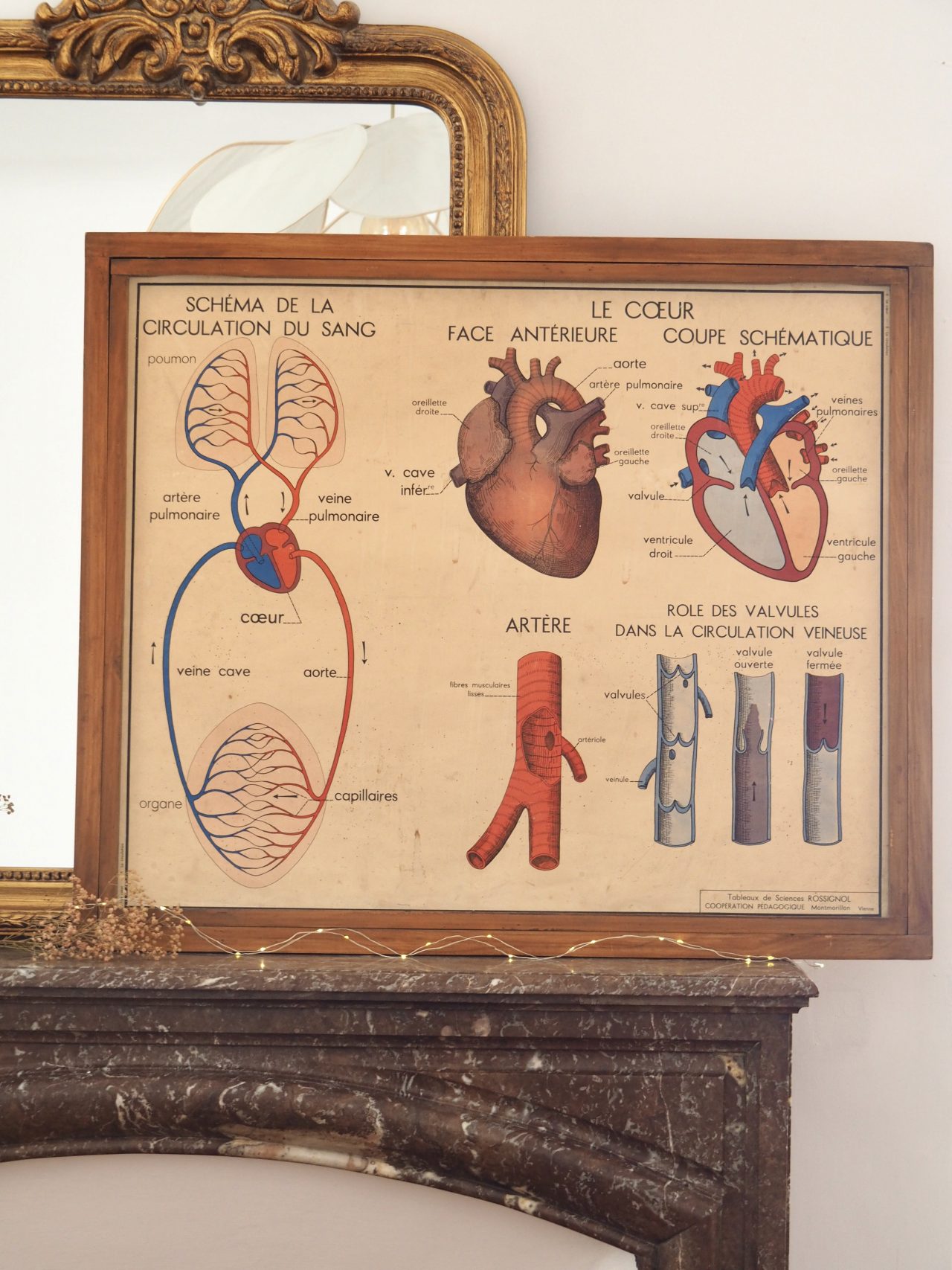 Affiche rossignol le coeur 2