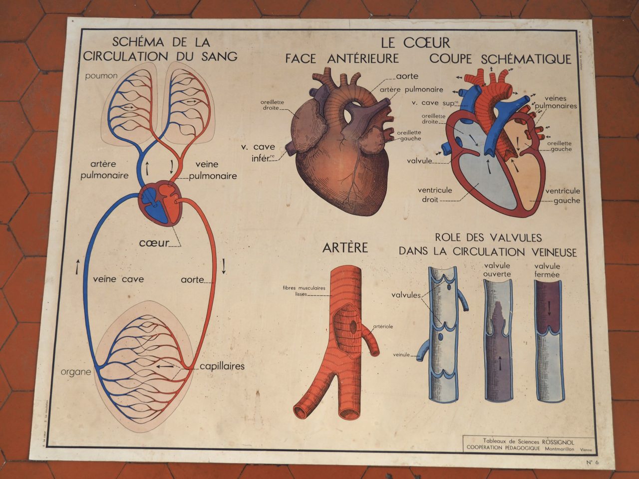 Affiche rossignol le coeur 4