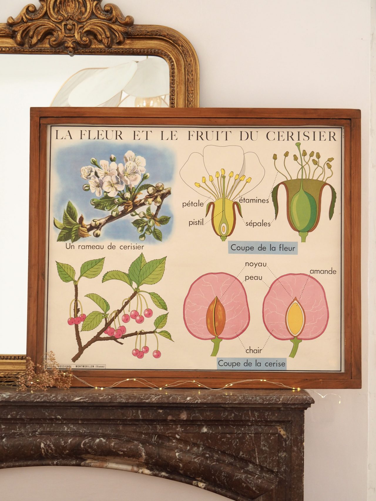 MaisonBoisDeRose affiche rossignol cerisier pomme de terre3