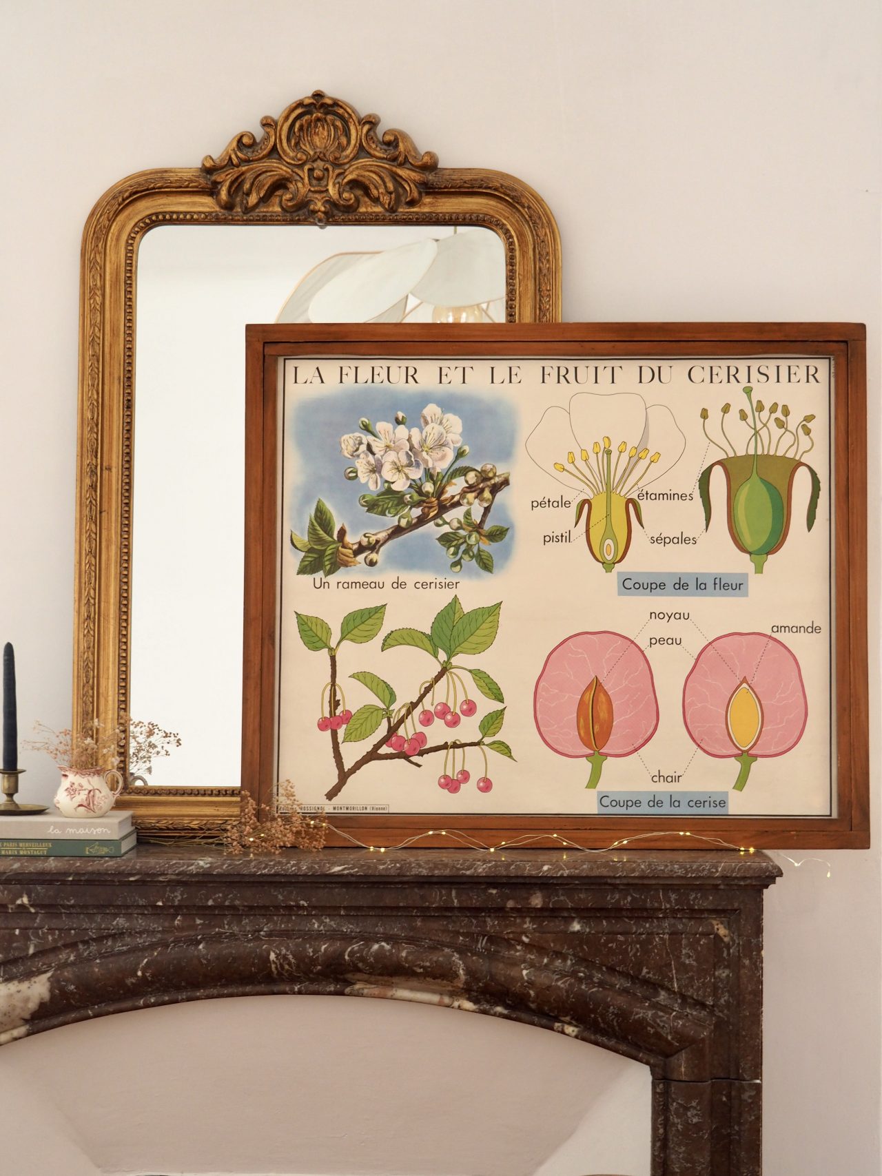 MaisonBoisDeRose affiche rossignol cerisier pomme de terre4