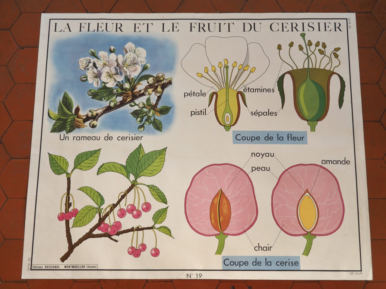 MaisonBoisDeRose affiche rossignol cerisier pomme de terre5