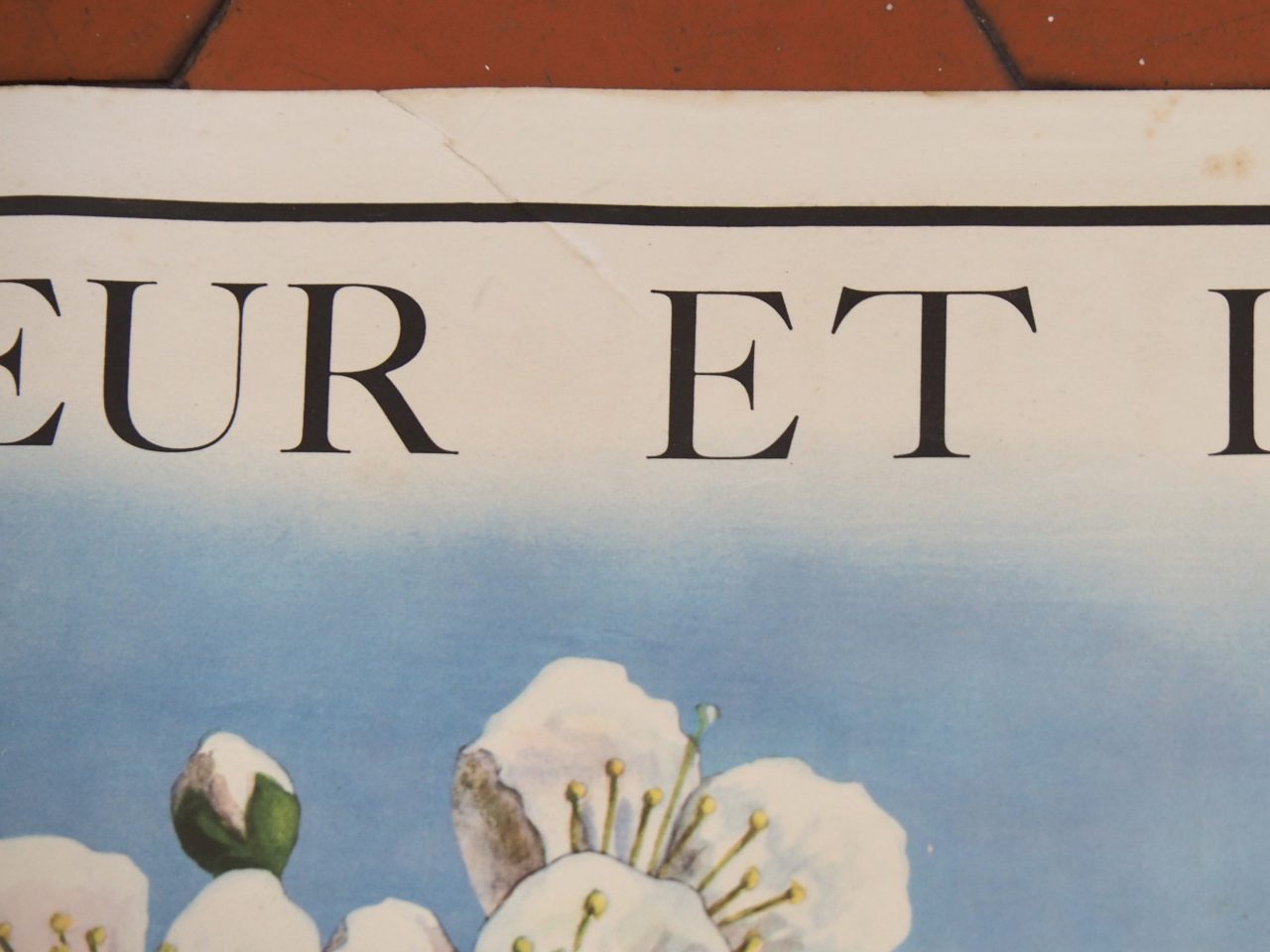 MaisonBoisDeRose affiche rossignol cerisier pomme de terre6