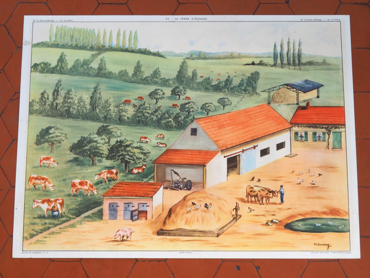 MaisonBoisDeRose affiche rossignol élevage laiterie10