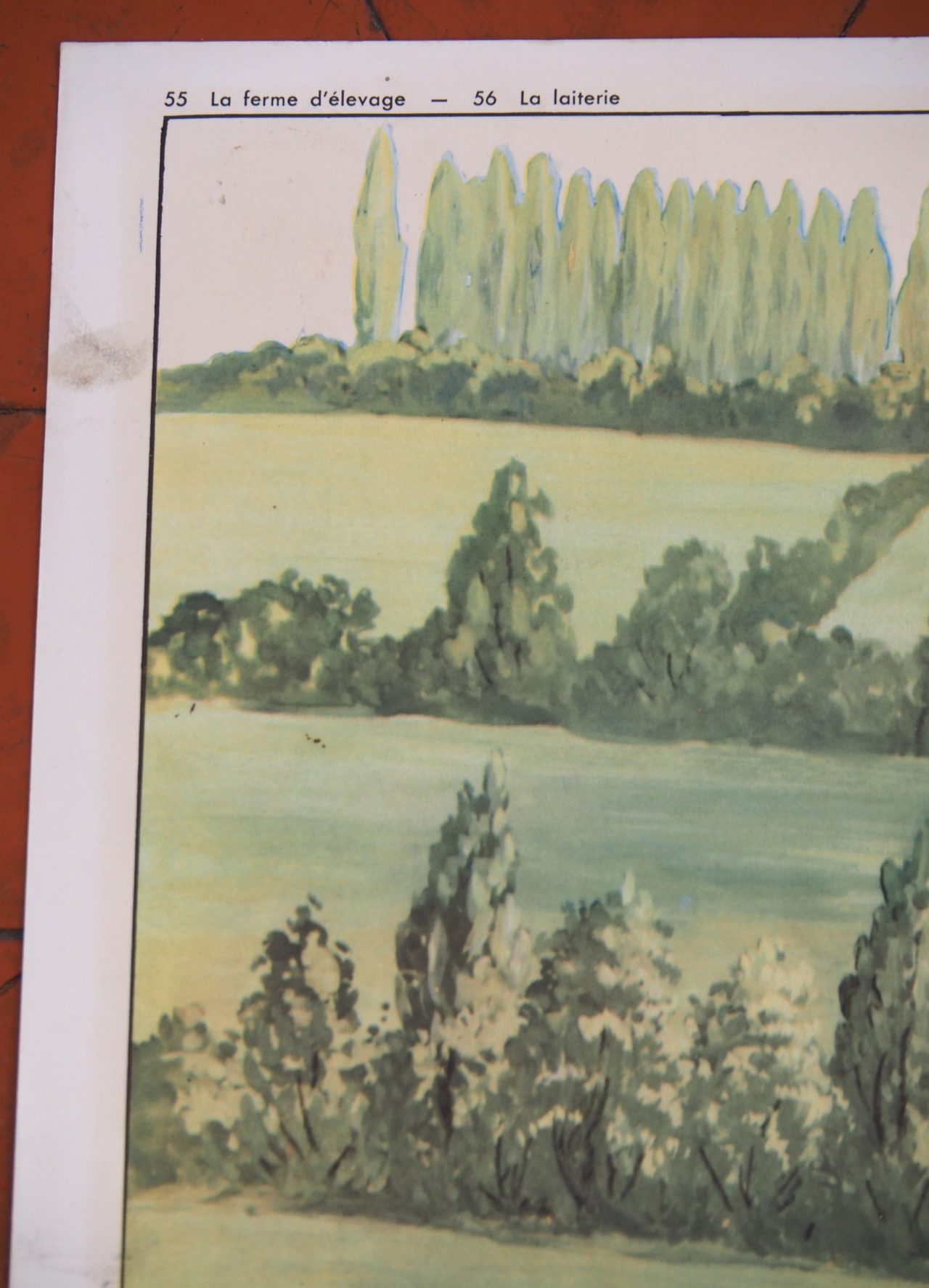 MaisonBoisDeRose affiche rossignol élevage laiterie11