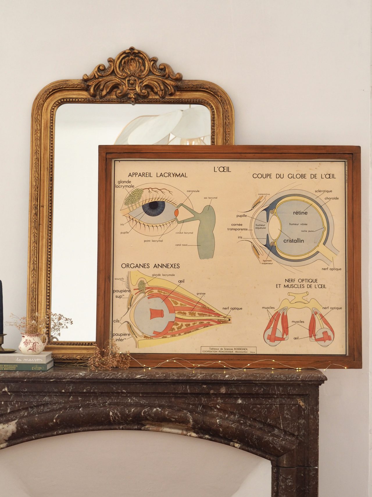 Affiche Rossignol Sciences n°19 et 20