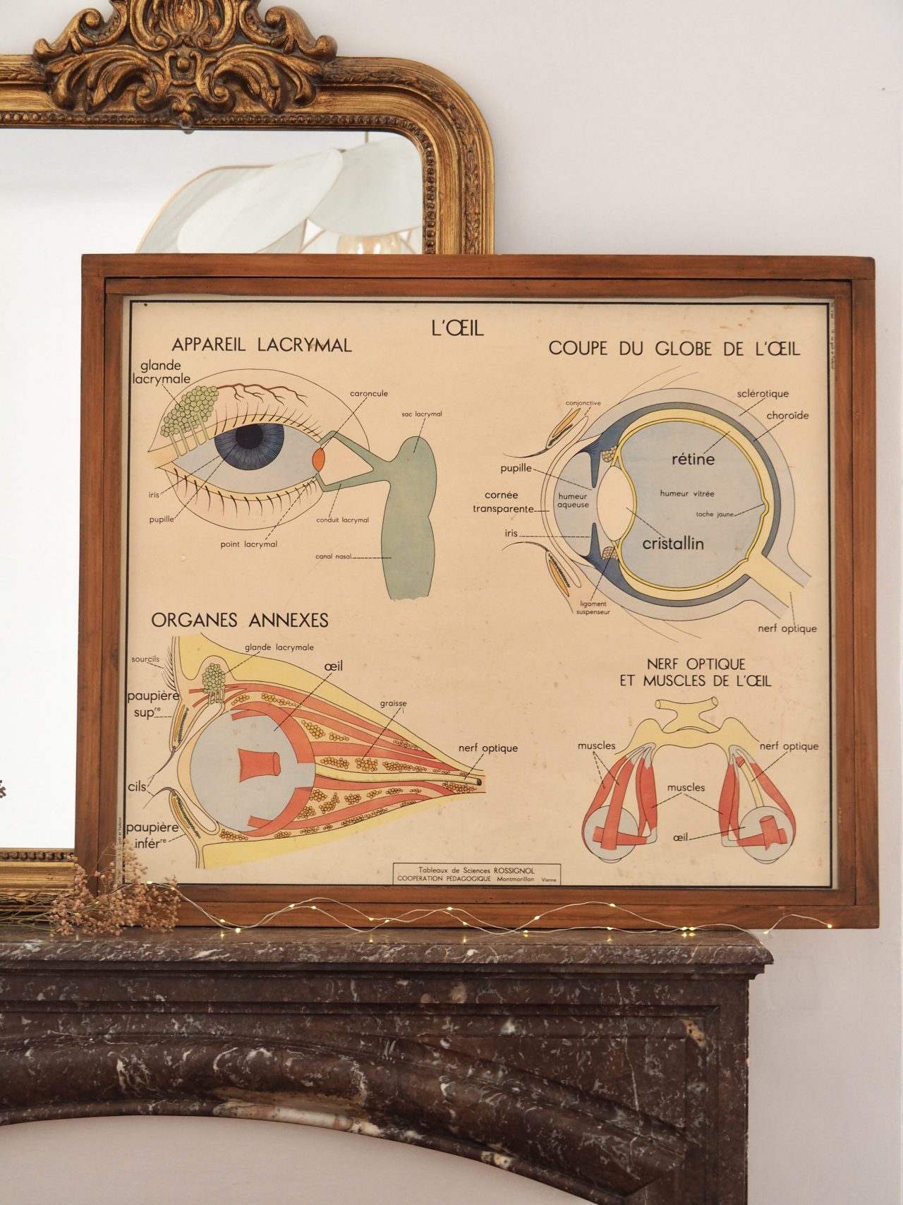 MaisonBoisDeRose affiche rossignol goût odorat oeil2