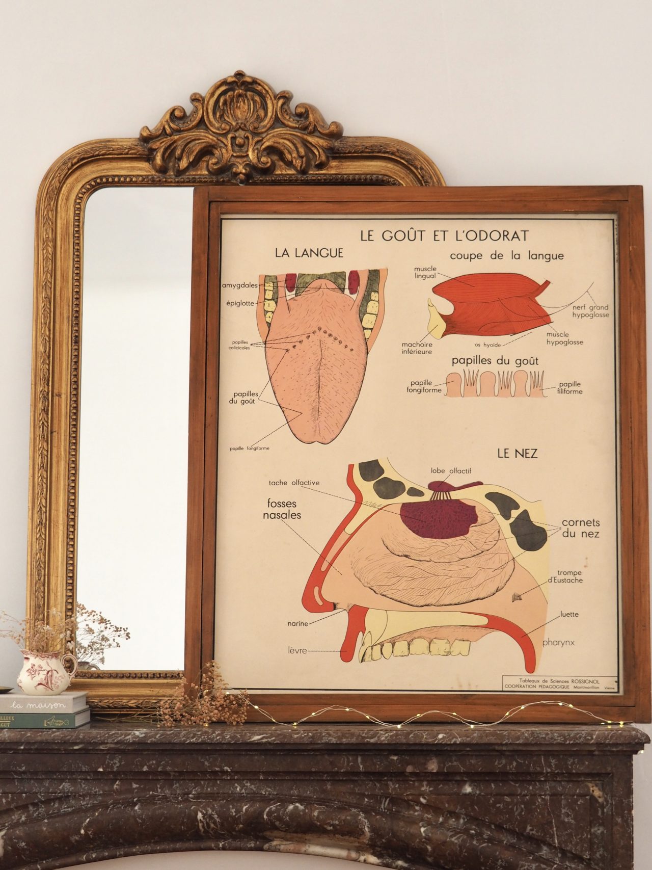 MaisonBoisDeRose affiche rossignol goût odorat oeil3