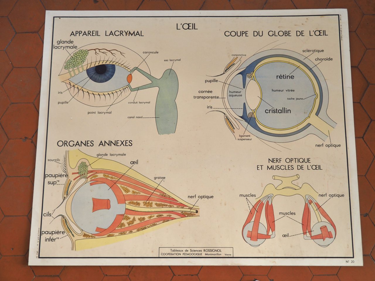 MaisonBoisDeRose affiche rossignol goût odorat oeil4