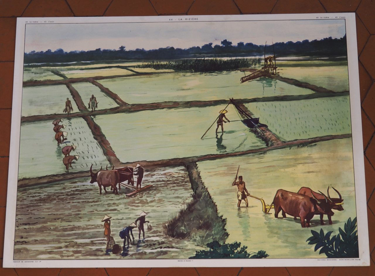 MaisonBoisDeRose affiche rossignol oasis rizière8