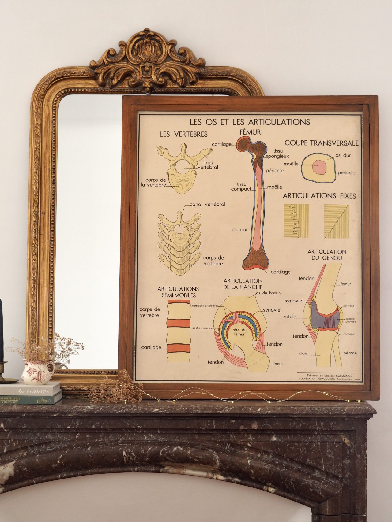 MaisonBoisDeRose affiche rossignol os articulations accidents1 1