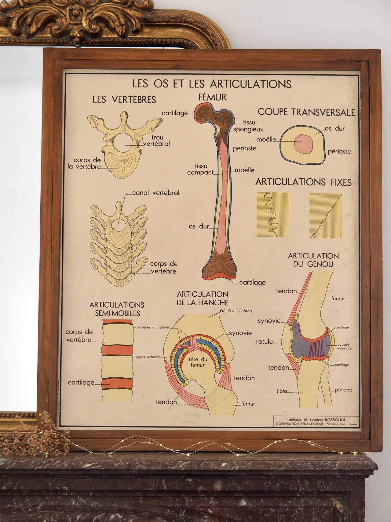 MaisonBoisDeRose affiche rossignol os articulations accidents2