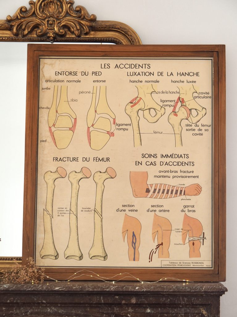 Affiche Rossignol Les os, les articulation et les accidents