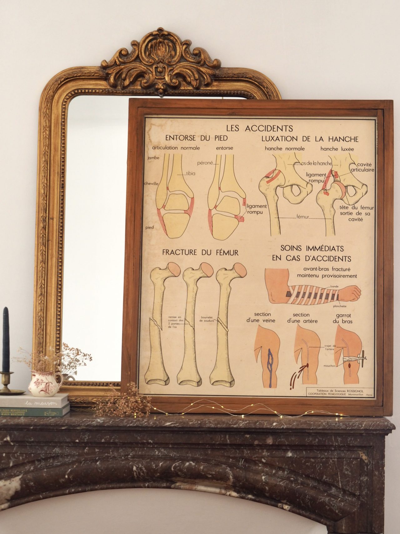 MaisonBoisDeRose affiche rossignol os articulations accidents4