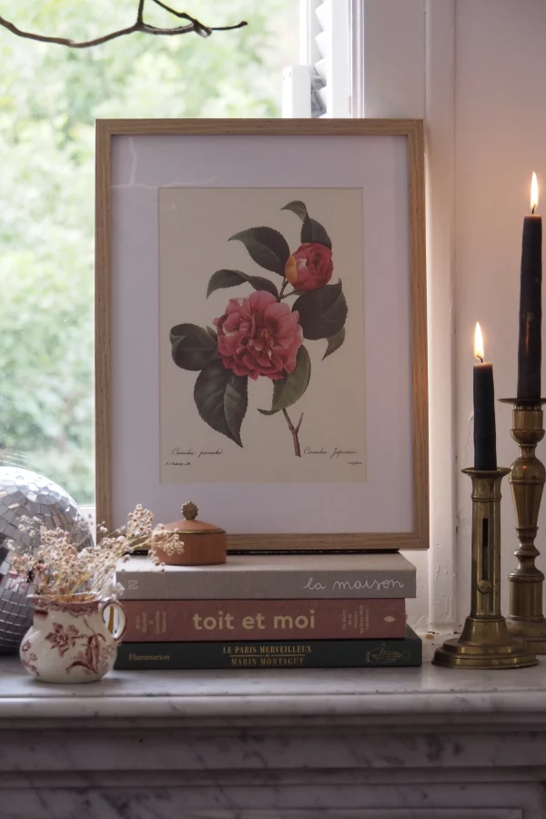 MaisonBoisDeRose Redouté camelia1