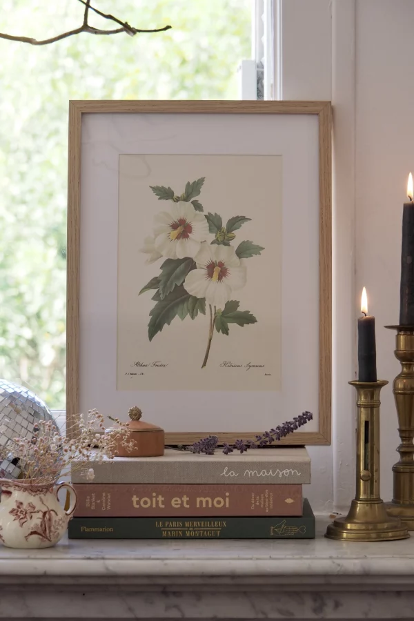 MaisonBoisDeRose Redouté fleurs10