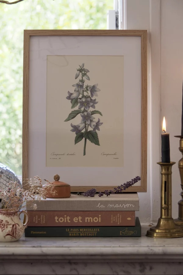 MaisonBoisDeRose Redouté fleurs13