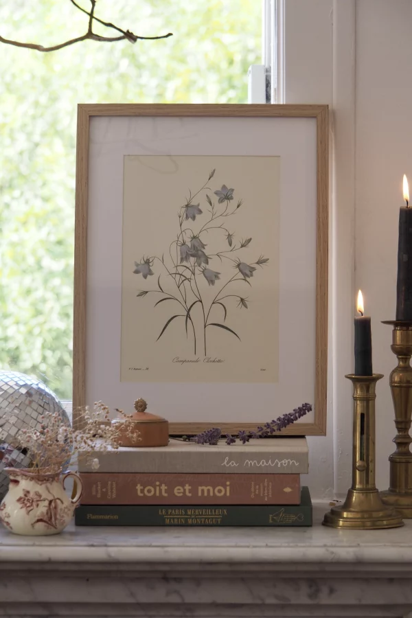 MaisonBoisDeRose Redouté fleurs16