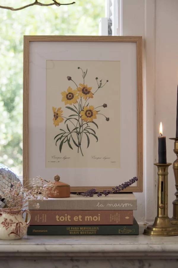 MaisonBoisDeRose Redouté fleurs17