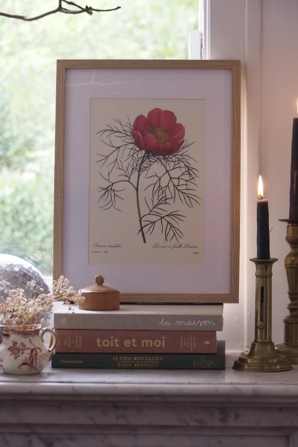 MaisonBoisDeRose Redouté fleurs5