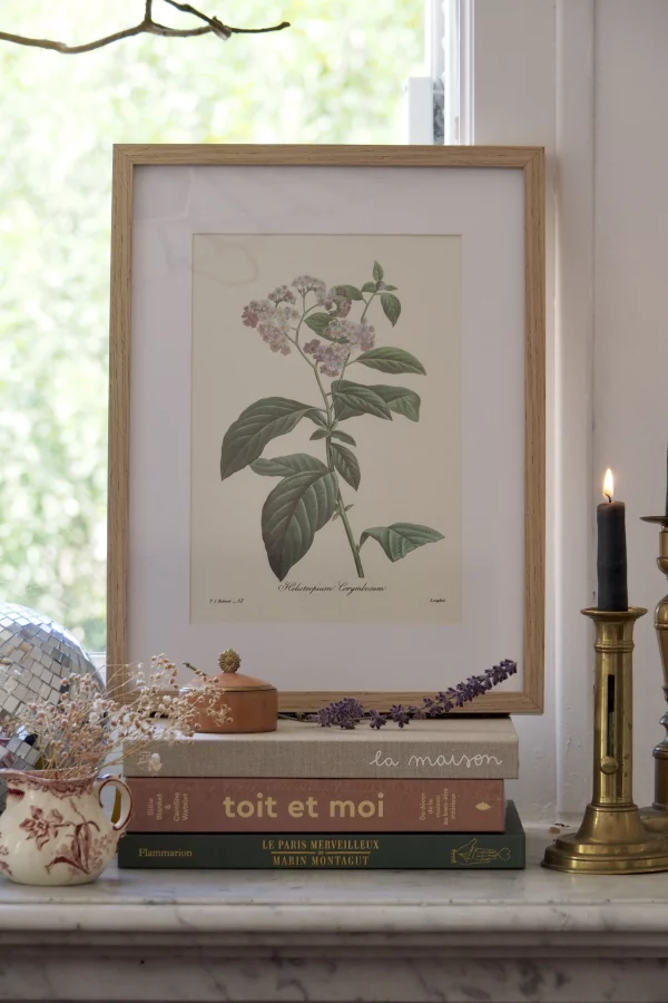 MaisonBoisDeRose Redouté fleurs7