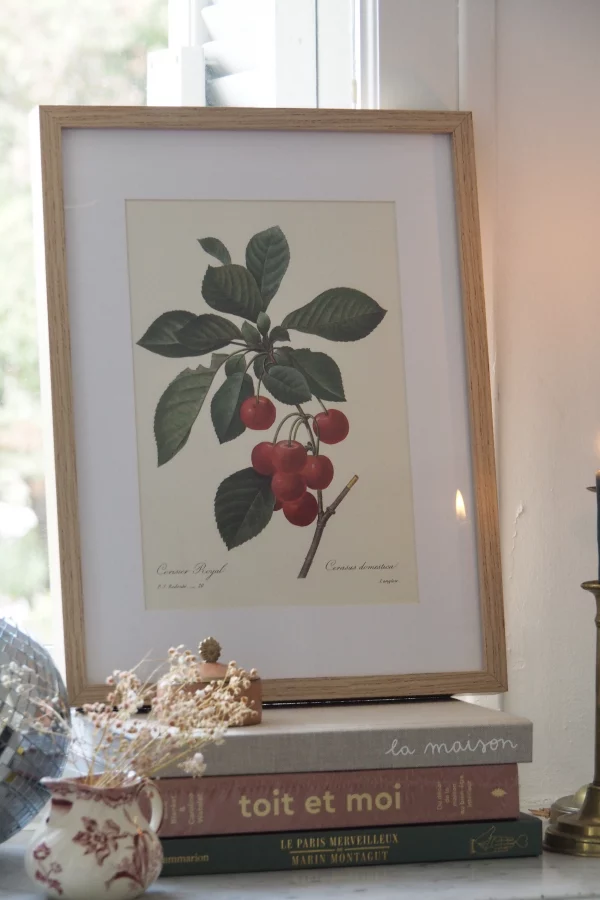 MaisonBoisDeRose Redouté fruit11