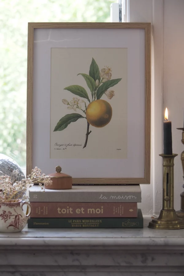 MaisonBoisDeRose Redouté fruit3