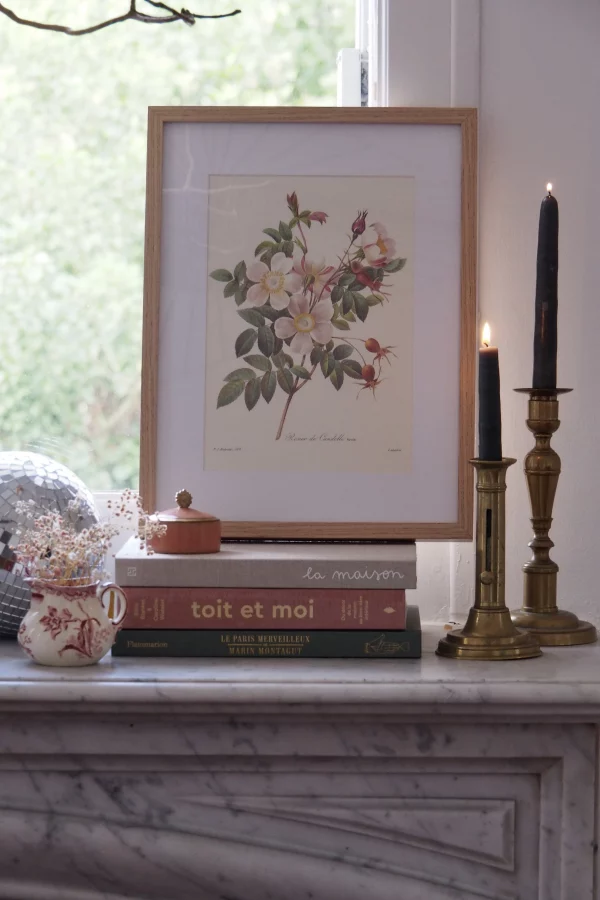 MaisonBoisDeRose Redouté rose1