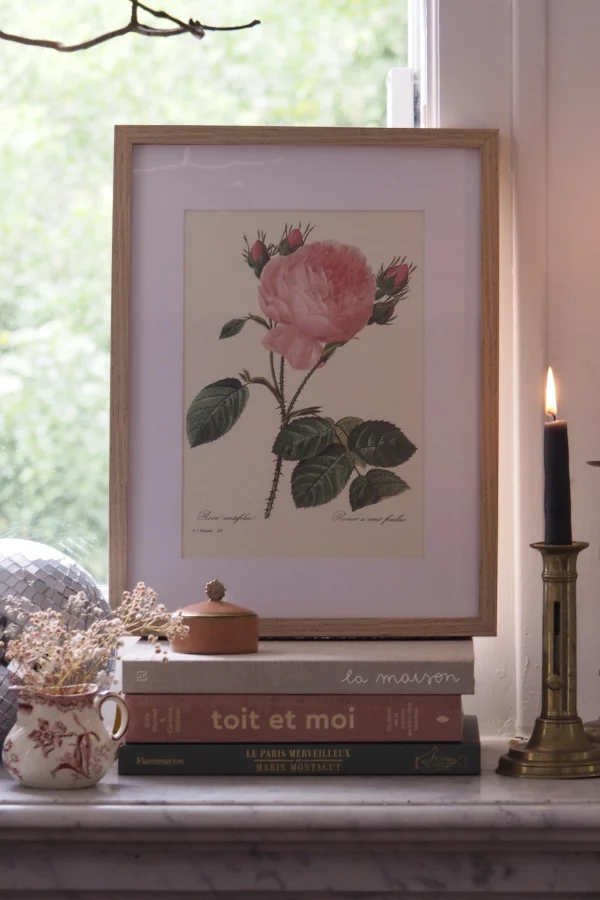 MaisonBoisDeRose Redouté rose2