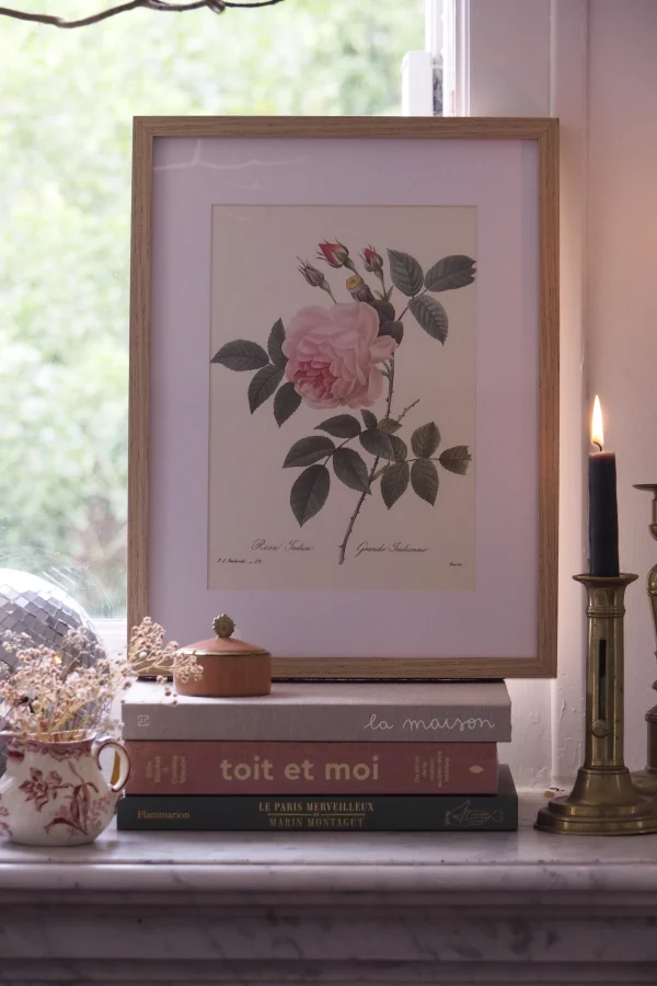 MaisonBoisDeRose Redouté rose4