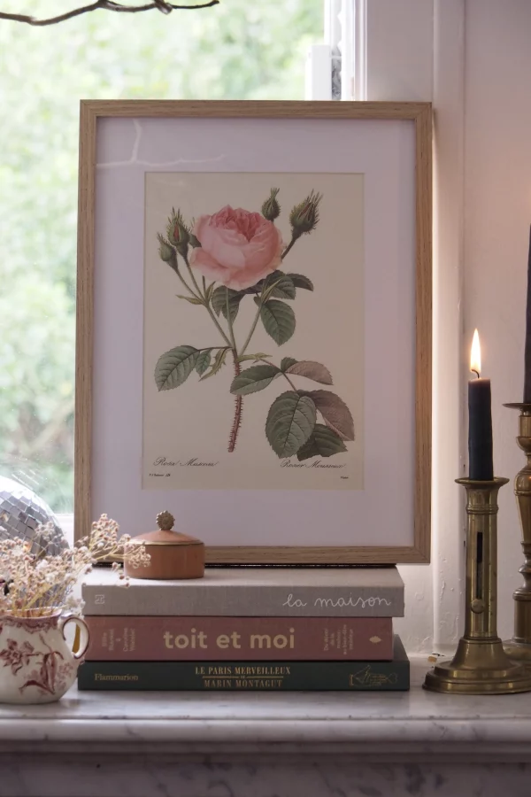 MaisonBoisDeRose Redouté rose5