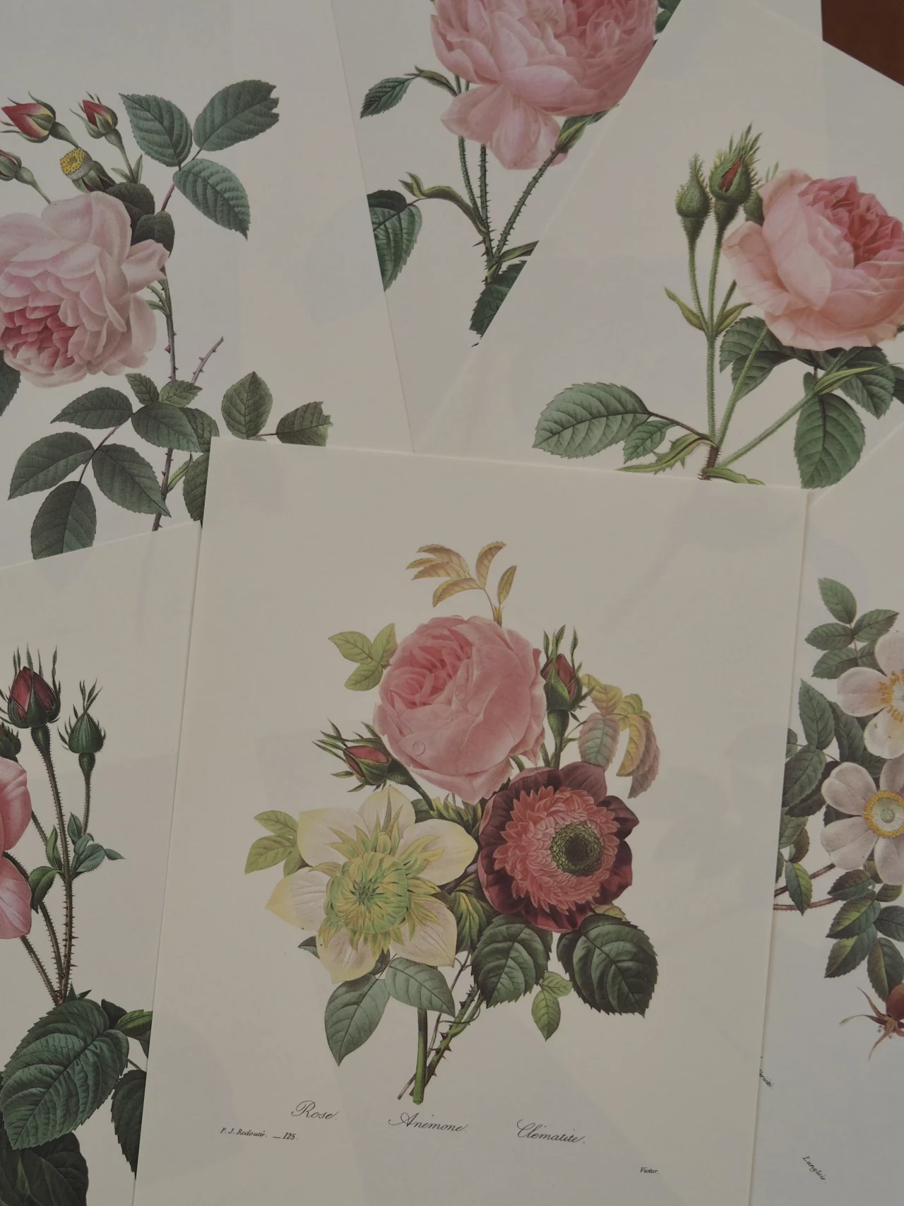 MaisonBoisDeRose Redouté1