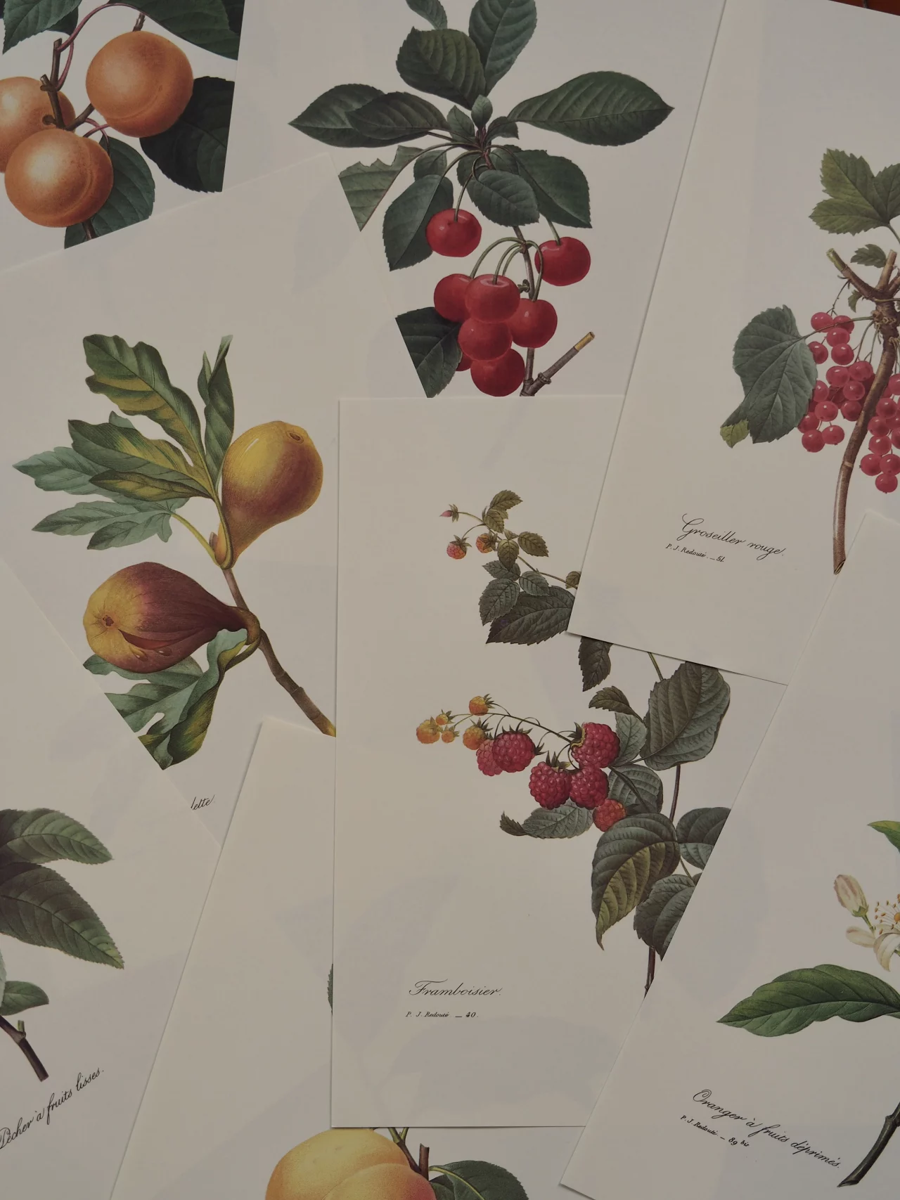 MaisonBoisDeRose Redouté2