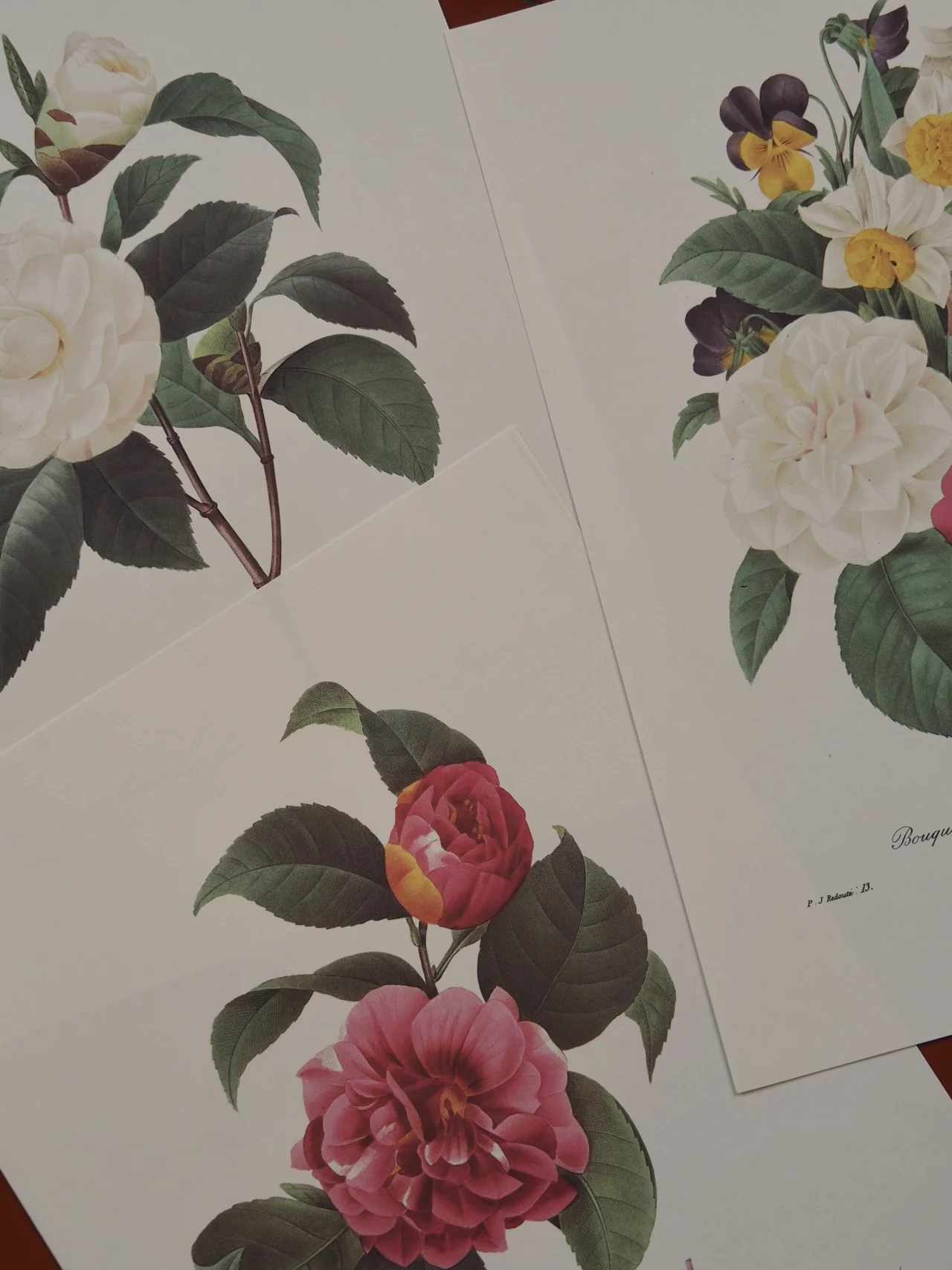 MaisonBoisDeRose Redouté4