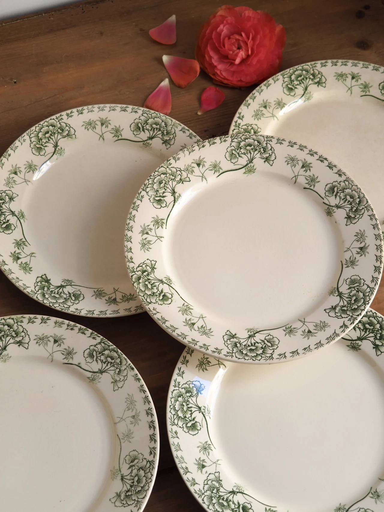 MaisonBoisDeRose service sarreguemines palmyre2