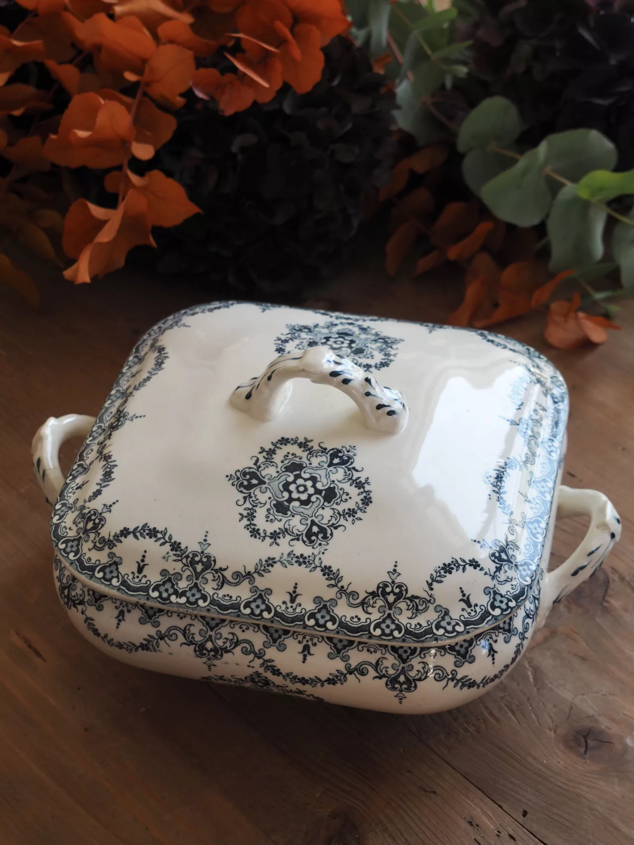 Légumier Excelsior 3