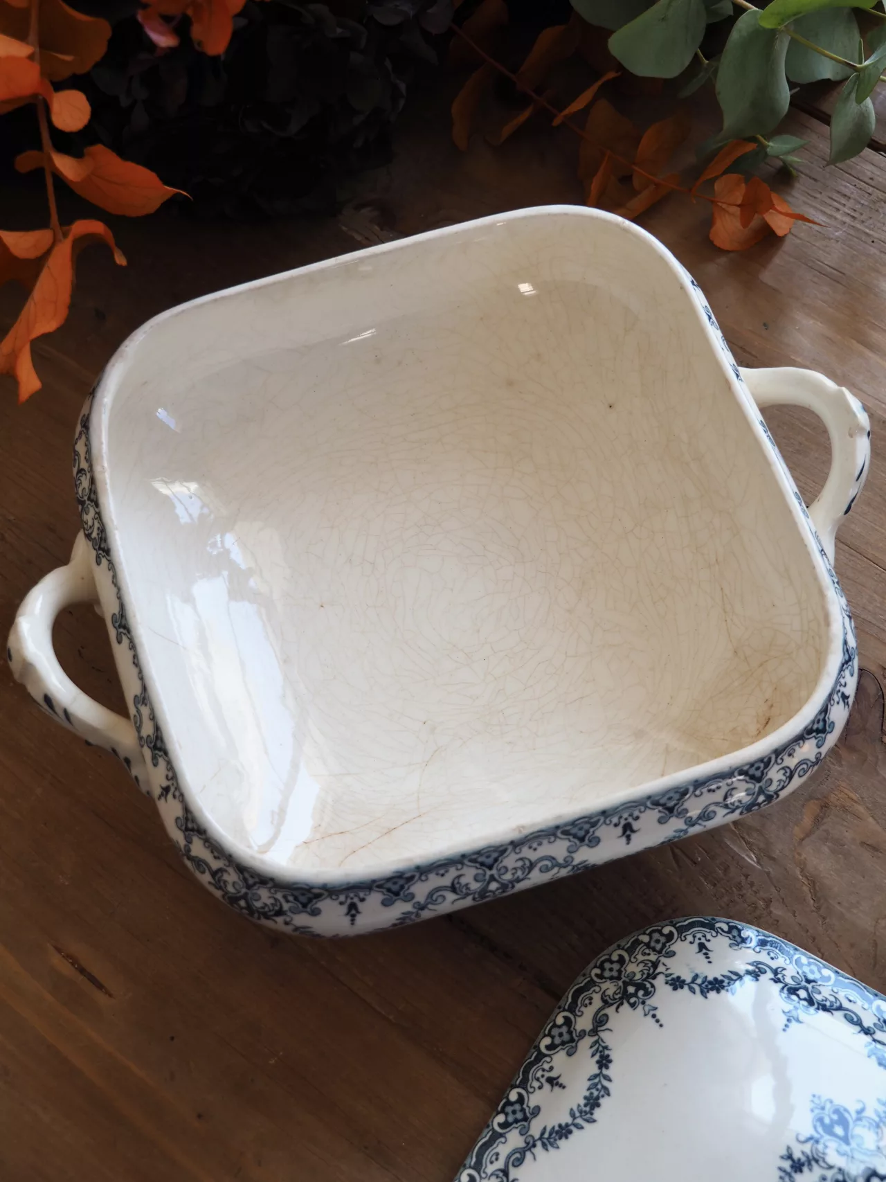 Légumier Excelsior 5