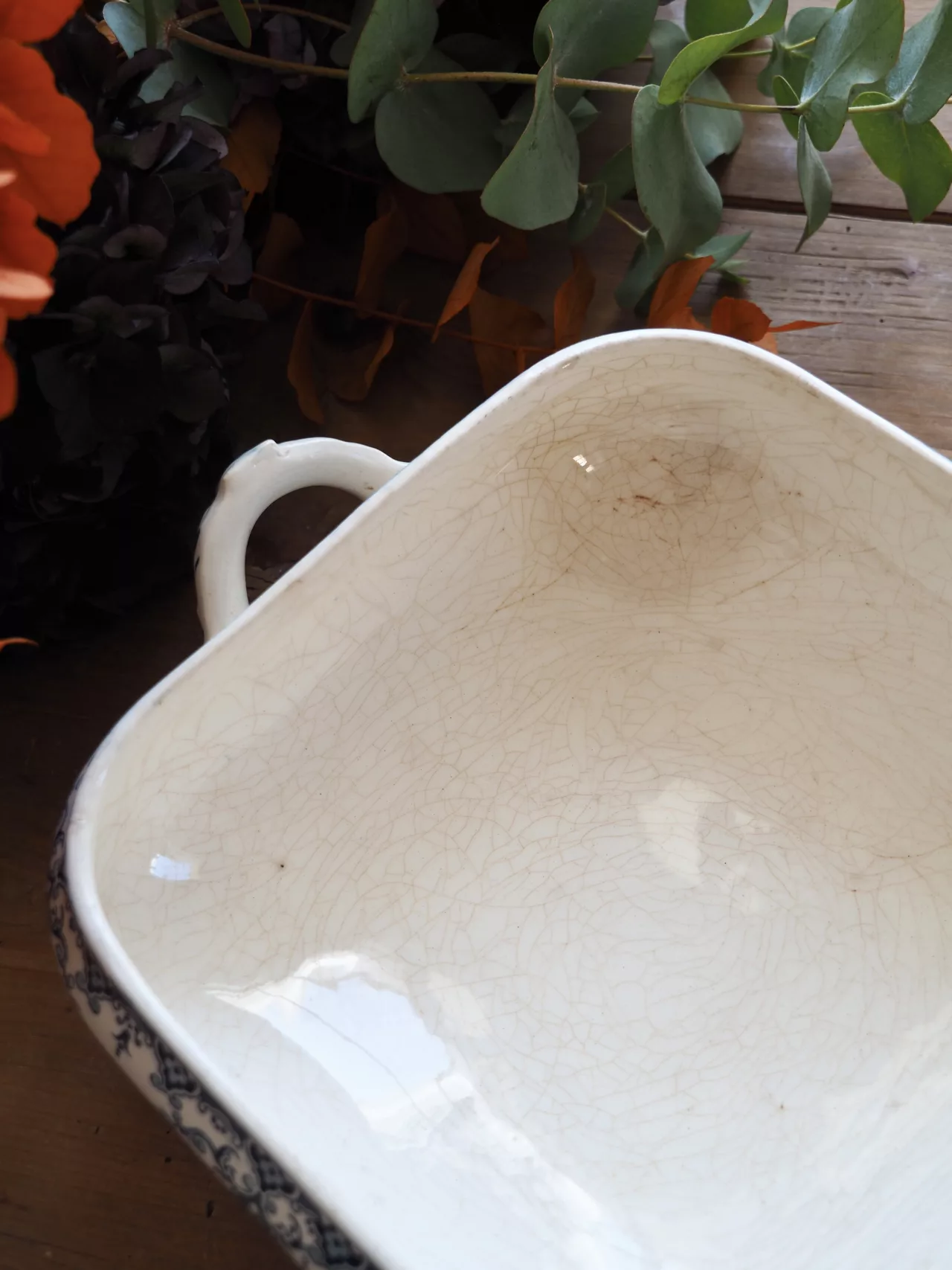 Légumier Excelsior 6