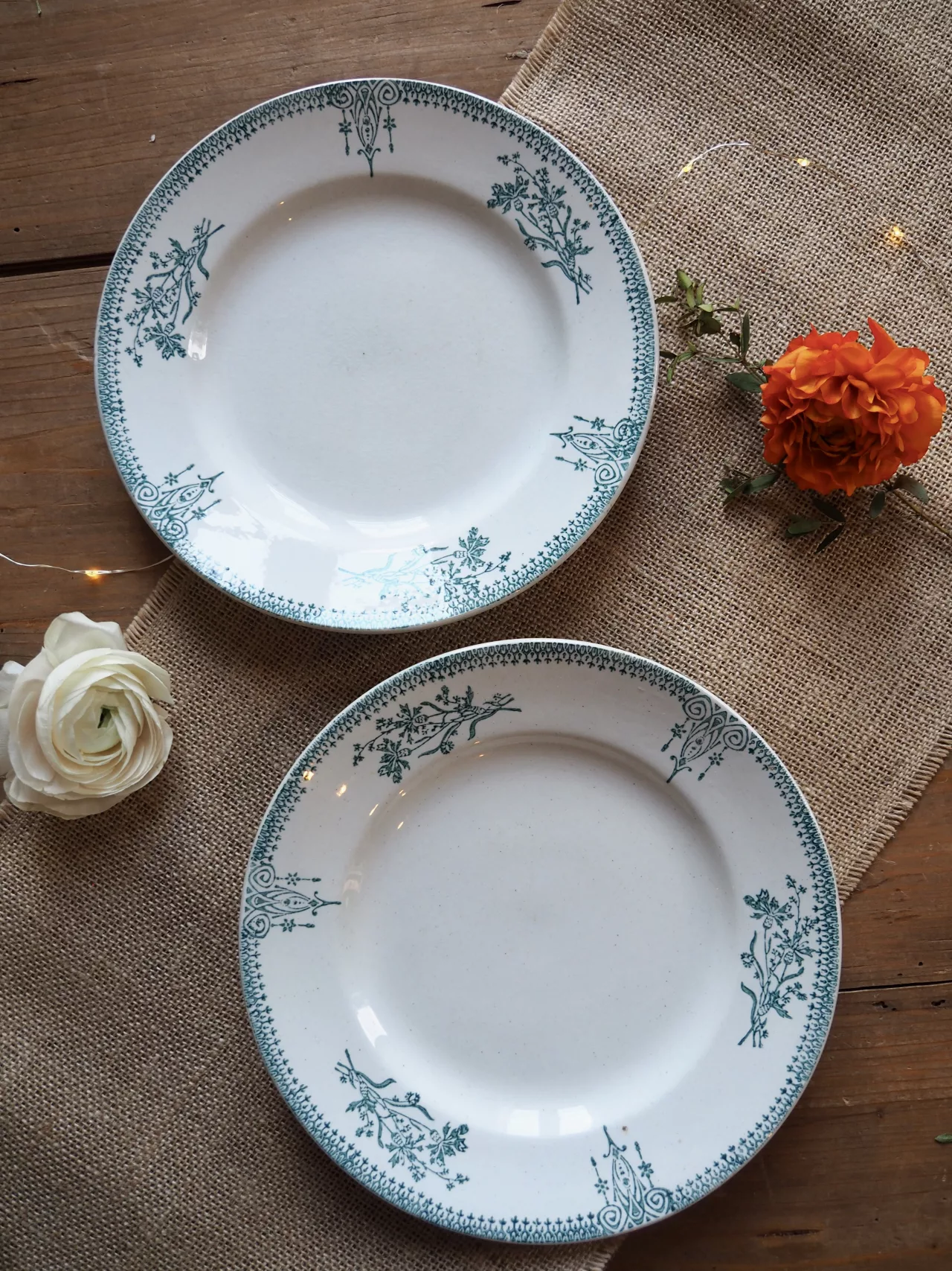 Assiettes Saint Amand 4003